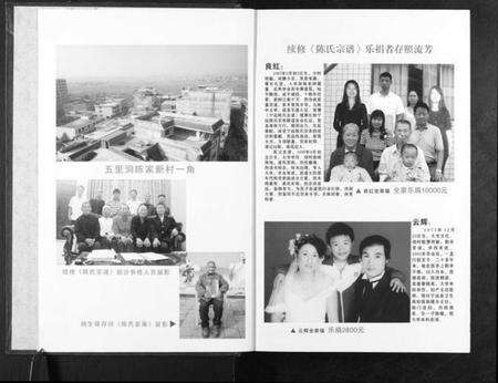 湖南陈氏族谱-陈氏宗谱.pdf电子版预览图2