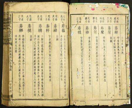 中国陈氏族谱-白溪陈氏九修族谱.pdf电子版预览图2