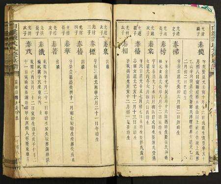 中国陈氏族谱-白溪陈氏九修族谱.pdf电子版预览图3