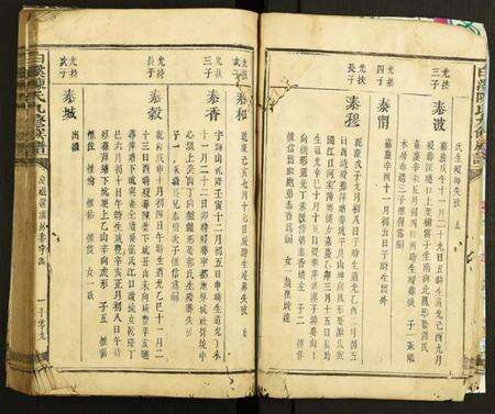 中国陈氏族谱-白溪陈氏九修族谱.pdf电子版预览图4