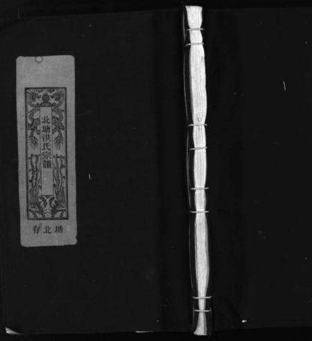 浙江洪氏族谱-北塘洪氏宗谱 [4卷].pdf电子版缩略图