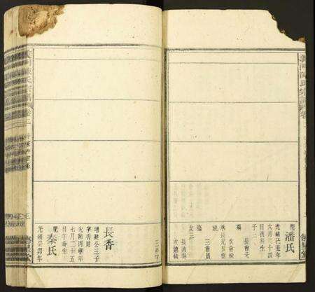 中国陈氏族谱-义门陈氏宗谱.pdf电子版预览图3