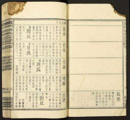 中国陈氏族谱-义门陈氏宗谱.pdf电子版预览图5