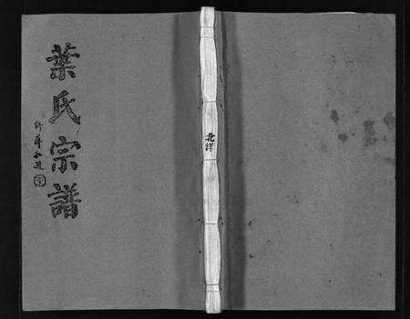 浙江叶氏族谱-北洋叶氏宗谱 [10卷].pdf电子版缩略图