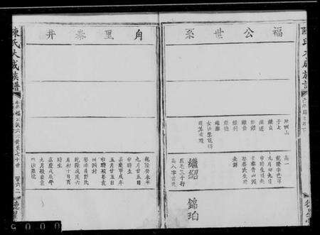 中国陈氏族谱-陈氏大成族谱.pdf电子版缩略图