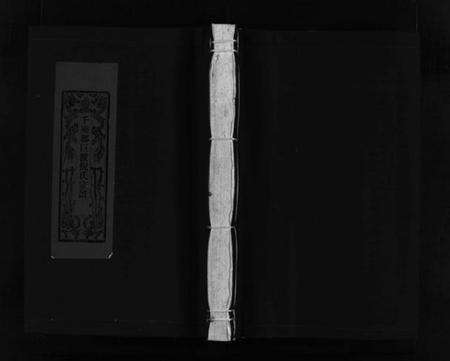 浙江倪氏族谱-千乘郡巨渡倪氏宗谱 [10卷,及卷首].pdf电子版缩略图