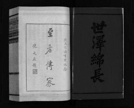 浙江倪氏族谱-千乘郡巨渡倪氏宗谱 [10卷,及卷首].pdf电子版预览图2