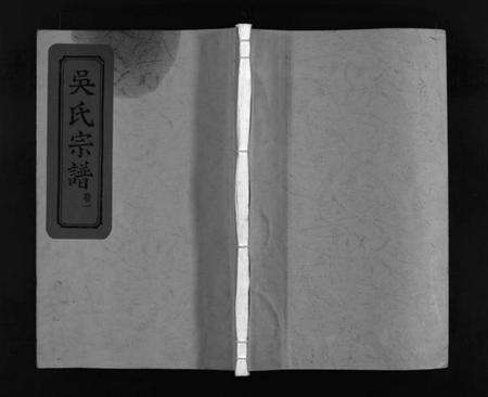 浙江吴氏族谱-南屏吴氏宗谱 [残卷].pdf电子版缩略图