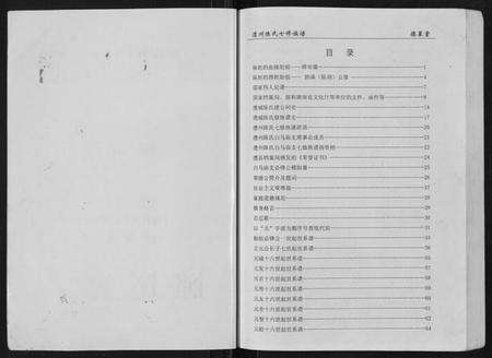 湖南陈氏族谱-陈氏族谱.pdf电子版预览图1