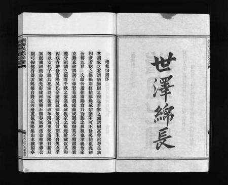 浙江吴氏族谱-南屏吴氏宗谱 [残卷].pdf电子版预览图2