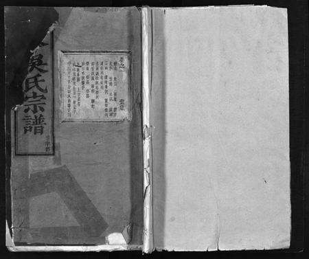 浙江吴氏族谱-南岑吴氏宗谱 [40卷,及卷末].pdf电子版缩略图