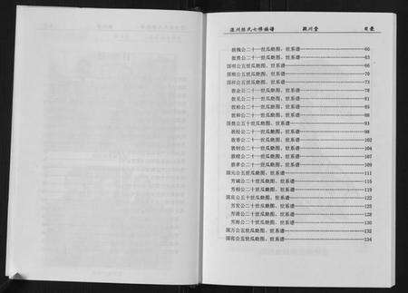 湖南陈氏族谱-陈氏族谱.pdf电子版预览图2