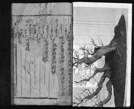 浙江吴氏族谱-南岑吴氏宗谱 [40卷,及卷末].pdf电子版预览图1