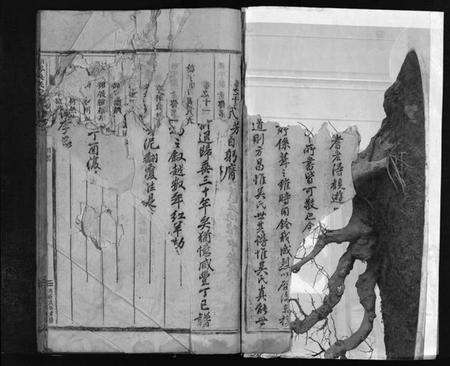 浙江吴氏族谱-南岑吴氏宗谱 [40卷,及卷末].pdf电子版预览图3