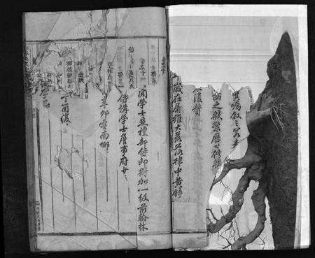 浙江吴氏族谱-南岑吴氏宗谱 [40卷,及卷末].pdf电子版预览图4