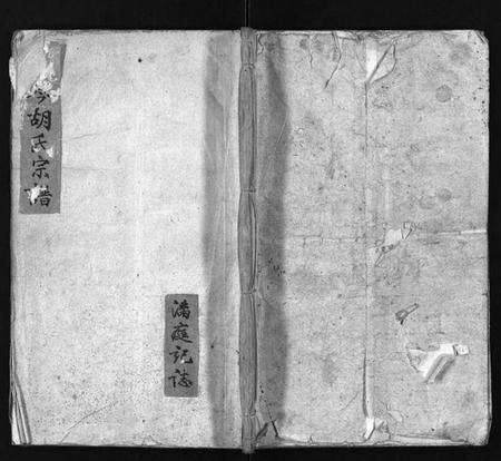 浙江胡氏族谱-南岑胡氏宗谱[1卷].pdf电子版缩略图