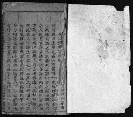 浙江朱氏族谱-南田朱氏宗谱 [10卷].pdf电子版预览图1