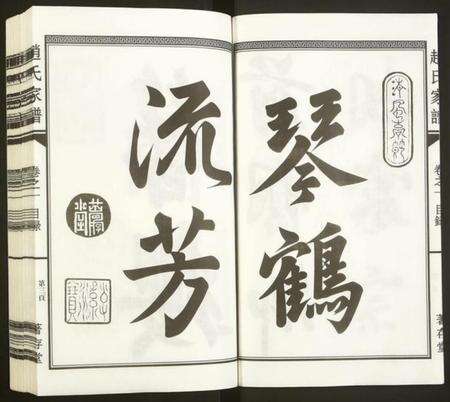 浙江赵氏族谱-南阳赵氏家谱.pdf电子版预览图3