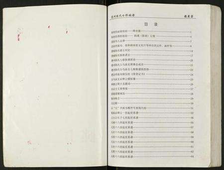 湖南陈氏族谱-陈氏族谱.白马庙支.pdf电子版预览图2