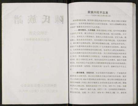 湖南陈氏族谱-陈氏族谱.芳炳公支谱.pdf电子版预览图2