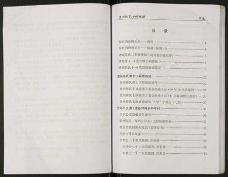 湖南陈氏族谱-陈氏族谱.芳炳公支谱.pdf电子版预览图5