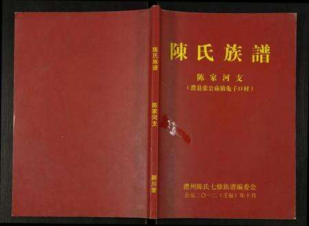 湖南陈氏族谱-陈氏族谱.陈家河支.pdf电子版缩略图