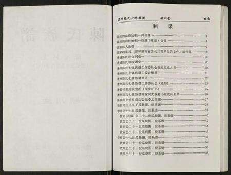 湖南陈氏族谱-陈氏族谱.陈家河支.pdf电子版预览图2