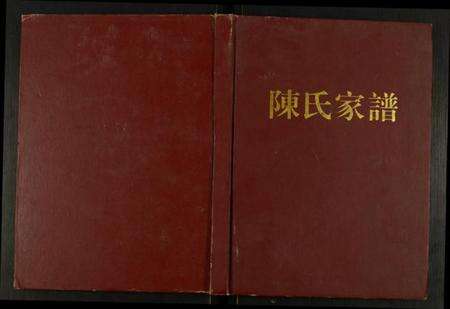湖南陈氏族谱-陈氏谅公家谱.pdf电子版缩略图