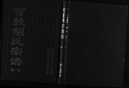 浙江胡氏族谱-可投胡氏宗谱 [不分卷].pdf电子版缩略图