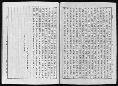 浙江袁氏族谱-台温牌门袁氏宗谱 [2卷].pdf电子版预览图2