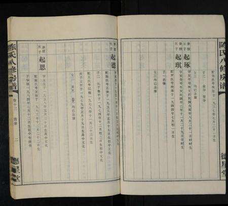 湖南陈氏族谱-陈氏八修房谱 [残存卷12].pdf电子版预览图4