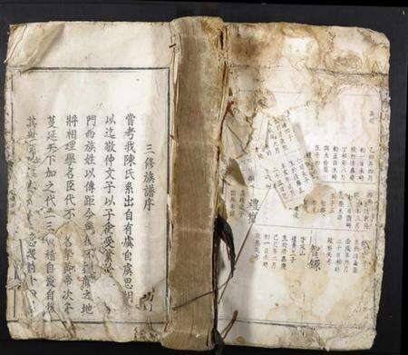 江西陈氏族谱-柳溪陈氏三修族谱.pdf电子版缩略图