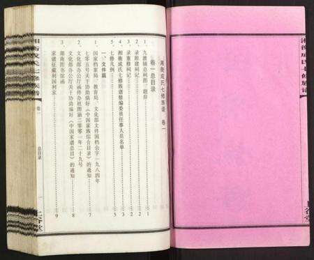 湖南成氏族谱-湘衡成氏七修族谱.pdf电子版预览图2