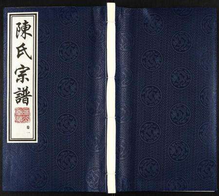 江苏陈氏族谱-陈氏宗谱.pdf电子版缩略图