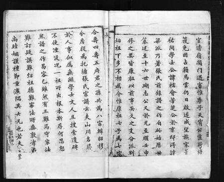 浙江张氏族谱-吴宁托塘张氏宗谱 [残卷].pdf电子版预览图3
