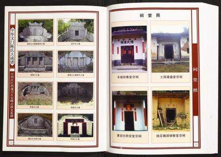 江西陈氏族谱-汀州庄江西遂川左安峰公派支系谱.pdf电子版预览图5