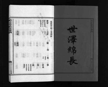 浙江吴氏族谱-吴氏宗谱 [4卷].pdf电子版预览图2