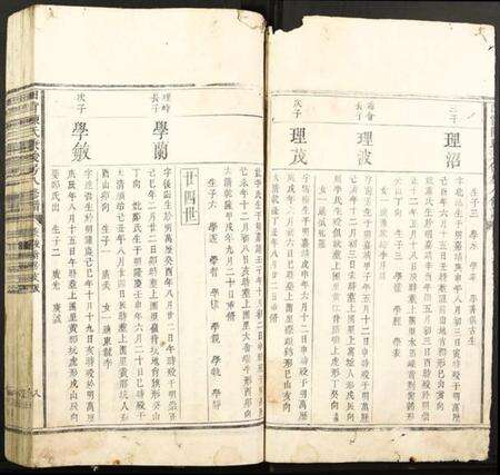 江西陈氏族谱-田背陈氏秉俊房八修谱.pdf电子版预览图2