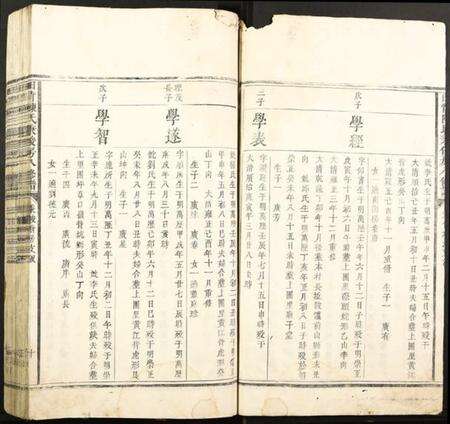 江西陈氏族谱-田背陈氏秉俊房八修谱.pdf电子版预览图4