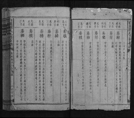 江西陈氏族谱-白溪陈氏九修族谱.pdf电子版预览图1