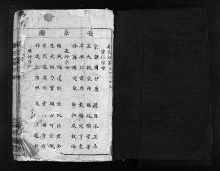 浙江吴氏族谱-吴氏宗谱 [不分卷].pdf电子版预览图1