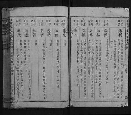 江西陈氏族谱-白溪陈氏九修族谱.pdf电子版预览图2