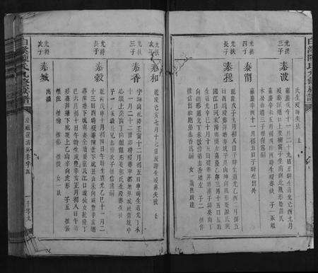 江西陈氏族谱-白溪陈氏九修族谱.pdf电子版预览图3