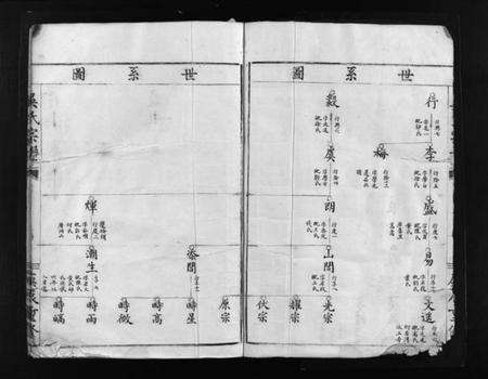 浙江吴氏族谱-吴氏宗谱 [不分卷].pdf电子版预览图4