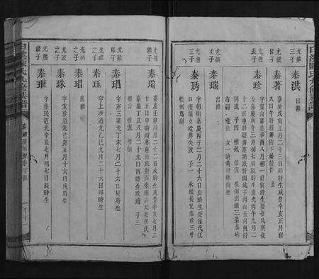 江西陈氏族谱-白溪陈氏九修族谱.pdf电子版预览图5