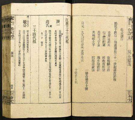 湖南戴氏族谱-戴氏十修宗谱.pdf电子版预览图4