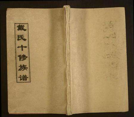 湖南戴氏族谱-戴氏十修族谱.pdf电子版缩略图