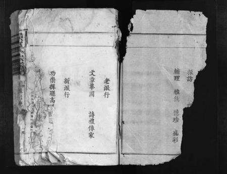 浙江吴氏族谱-吴氏宗谱 [残卷].pdf电子版预览图2