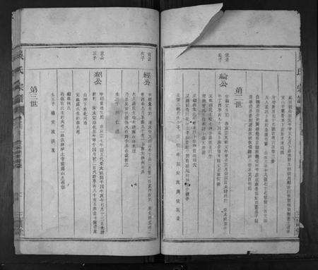 浙江吴氏族谱-吴氏宗谱[4卷首1卷].pdf电子版预览图2