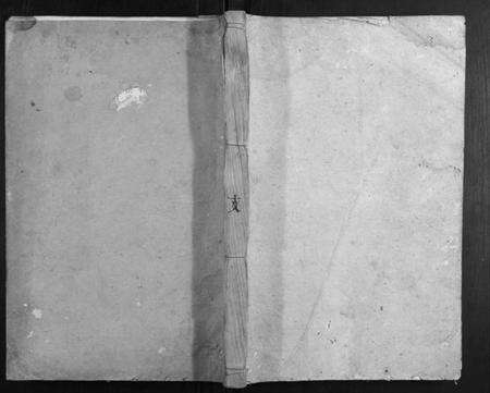 湖南戴氏族谱-戴氏族谱.pdf电子版缩略图